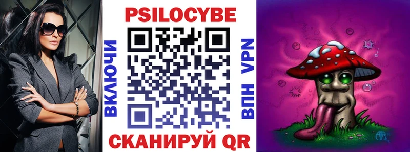 сколько стоит  Тимашёвск  Галлюциногенные грибы Psilocybe 
